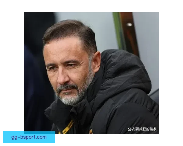 佩雷拉合同到期后正式回归乌迪内斯开启新篇章